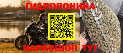 PSILOCYBIN Рузаевка