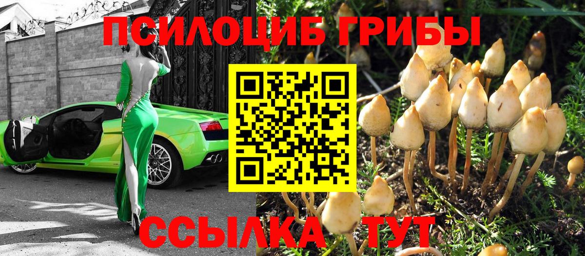 Галлюциногенные грибы мухоморы  Вход с VPN  Галлюциногенные грибы Cubensis  Семилуки 